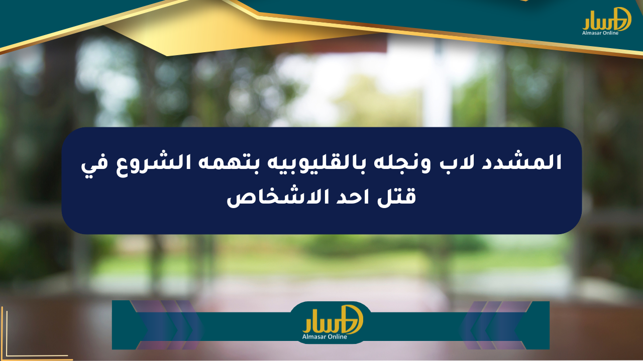 المشدد لأب ونجله بالقليوبية بتهمة الشروع في قتل أحد الأشخاص